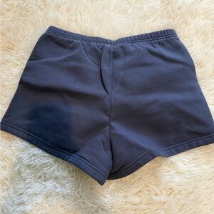 Aritzia blue sweatshorts